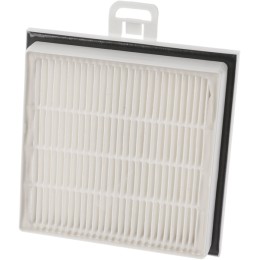 HEPA-фильтр Bosch 00579494